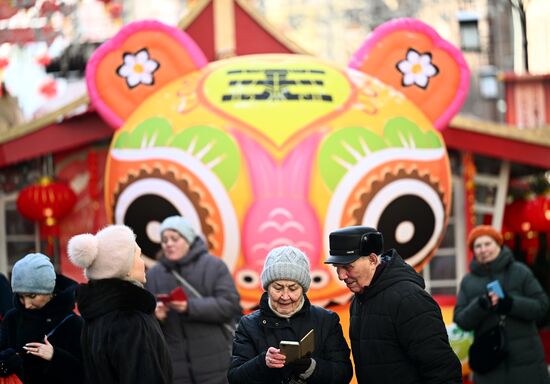 Фестиваль "Китайский Новый год в Москве"