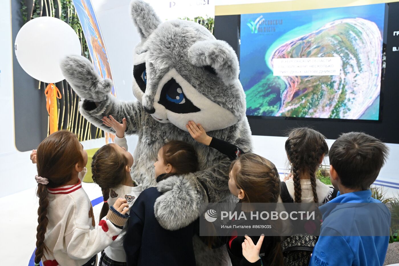 Выставка "Россия". Презентация комикса "Путешествие енота Херсона: в Москву - из новых регионов"