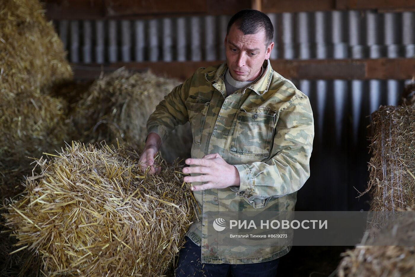 Животноводческое хозяйство в Краснодарском крае