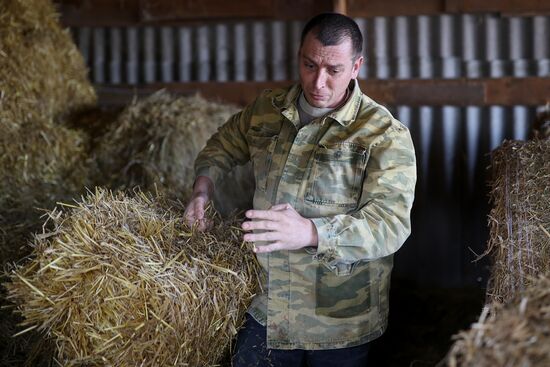 Животноводческое хозяйство в Краснодарском крае