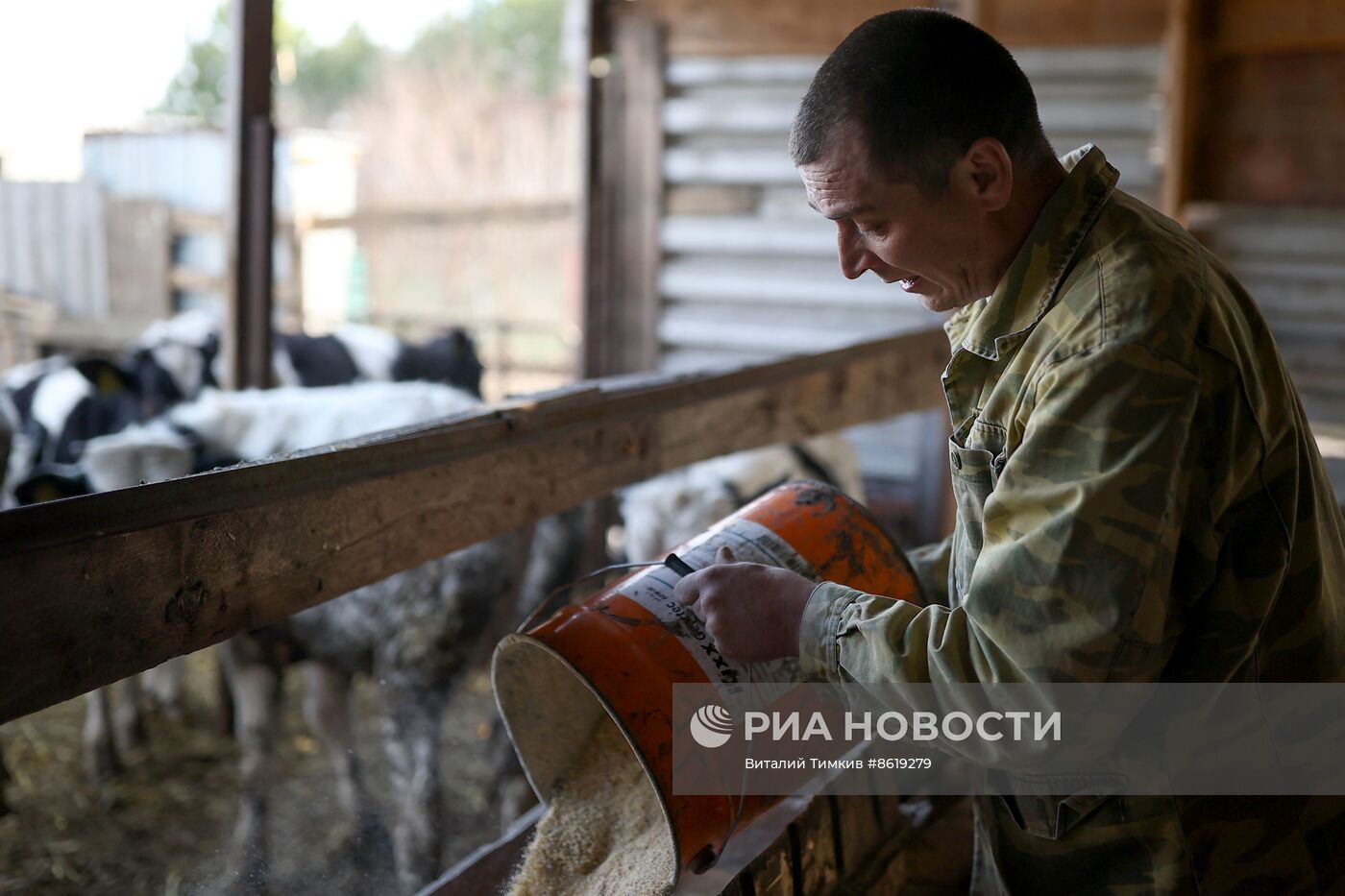Животноводческое хозяйство в Краснодарском крае