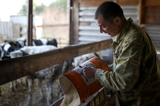 Животноводческое хозяйство в Краснодарском крае