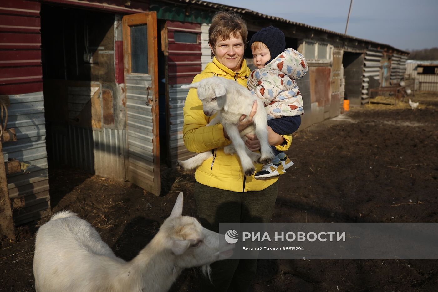 Животноводческое хозяйство в Краснодарском крае