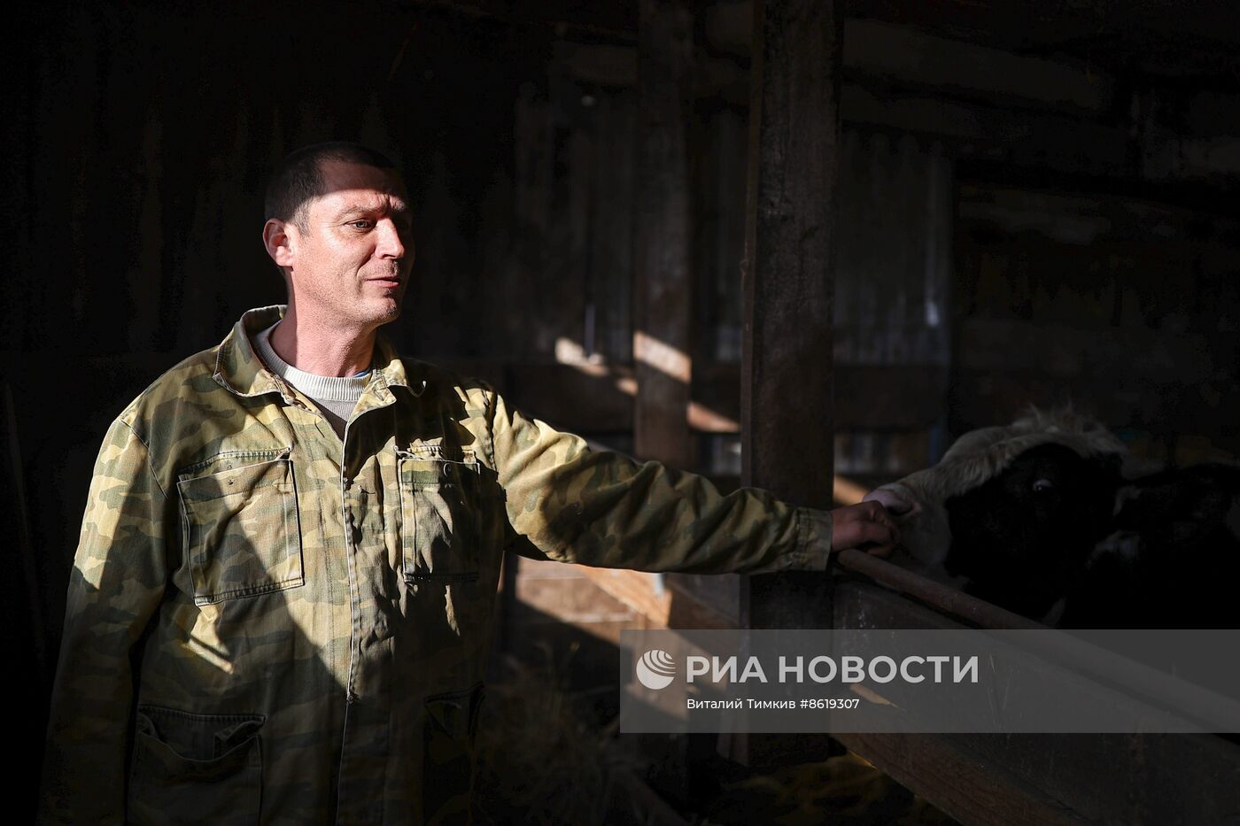 Животноводческое хозяйство в Краснодарском крае