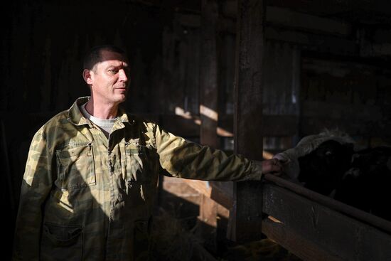 Животноводческое хозяйство в Краснодарском крае