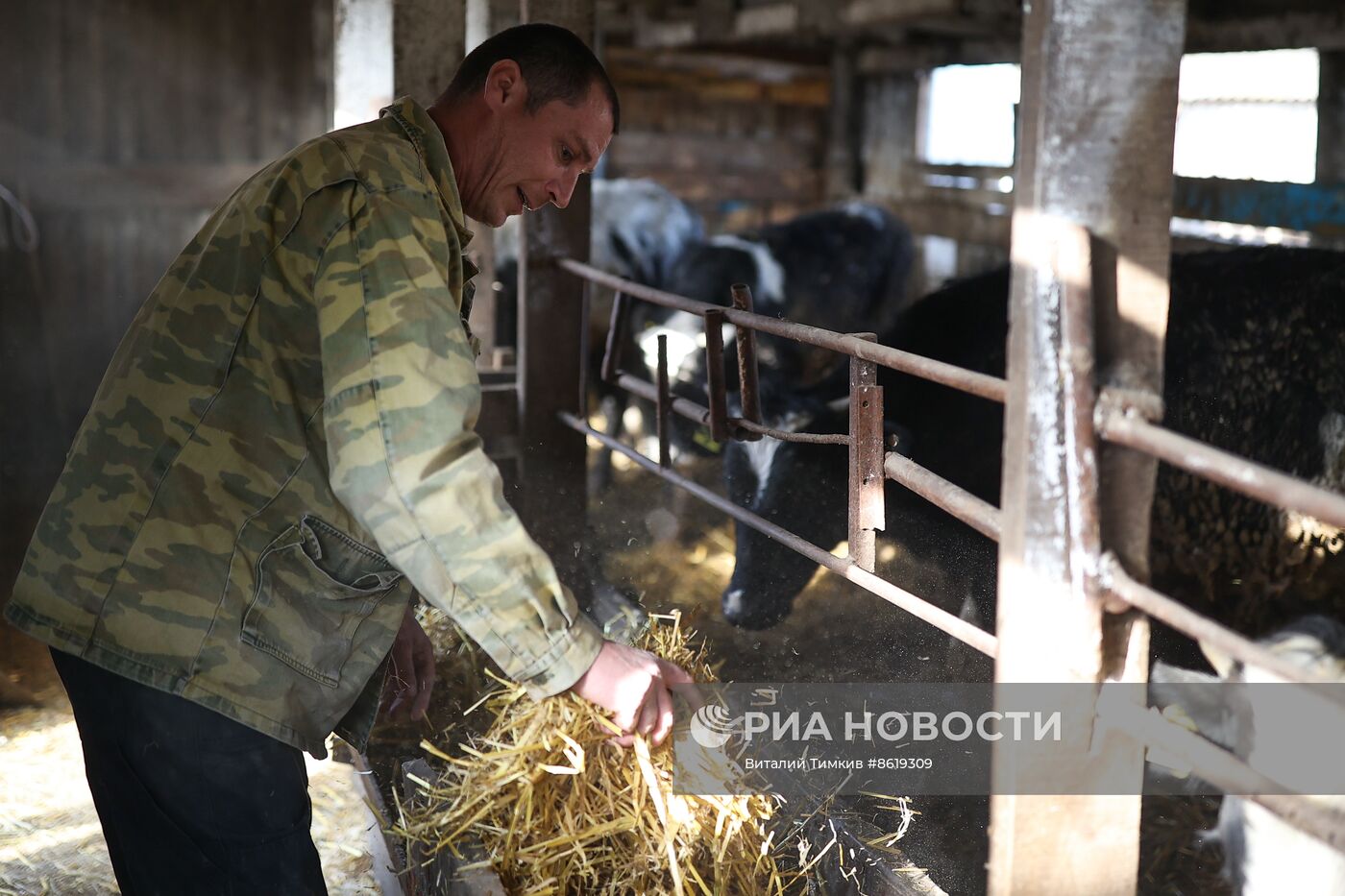 Животноводческое хозяйство в Краснодарском крае