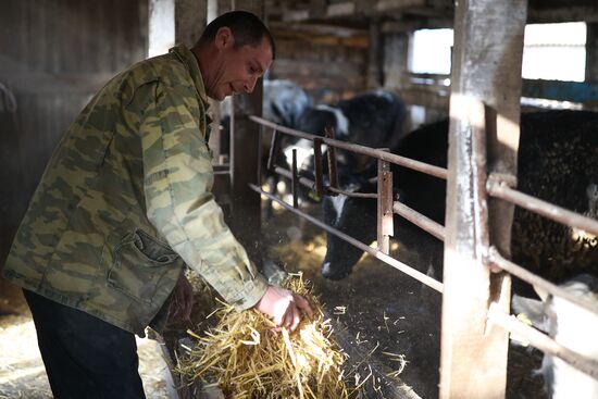 Животноводческое хозяйство в Краснодарском крае