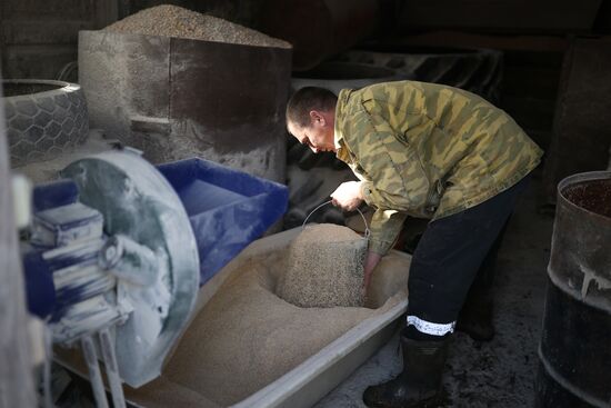 Животноводческое хозяйство в Краснодарском крае