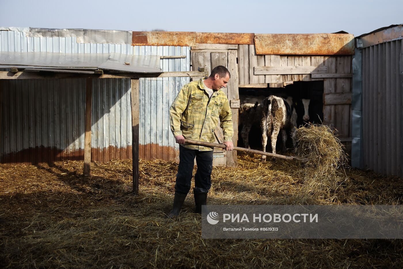 Животноводческое хозяйство в Краснодарском крае