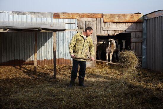 Животноводческое хозяйство в Краснодарском крае