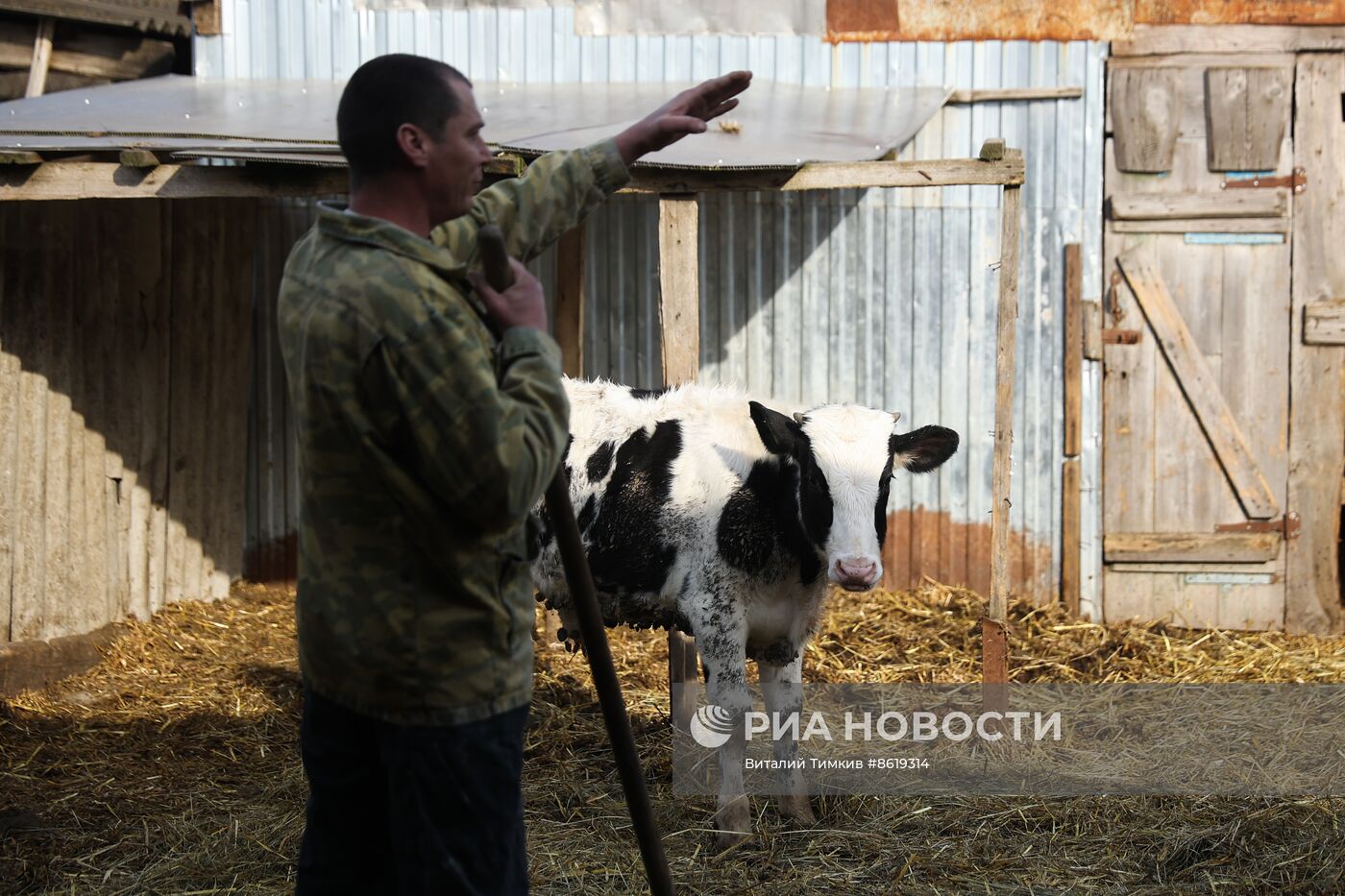 Животноводческое хозяйство в Краснодарском крае