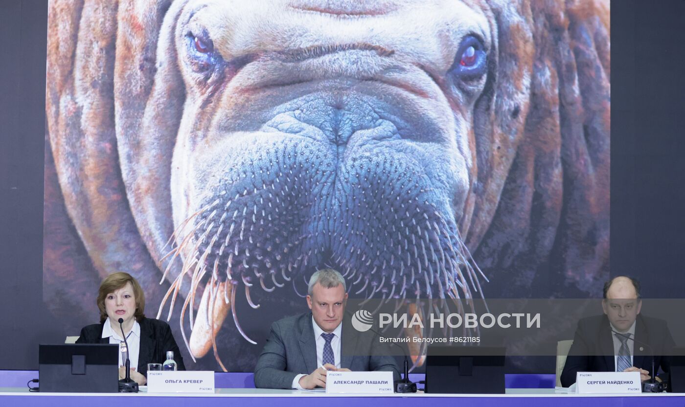 Выставка "Россия". Пресс-конференция "Открывая Арктику заново"