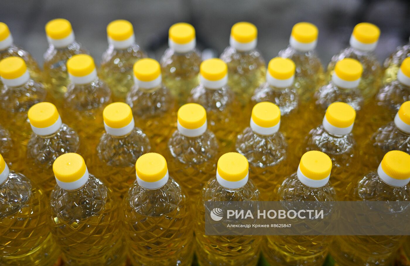 Производство растительного масла в Новосибирске