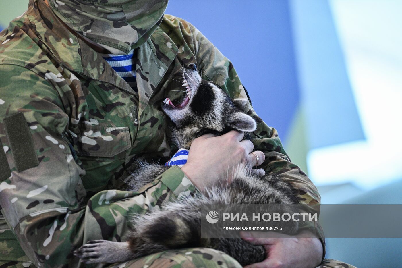 Выставка "Россия". Встреча с легендарным десантным енотом по кличке Херсон