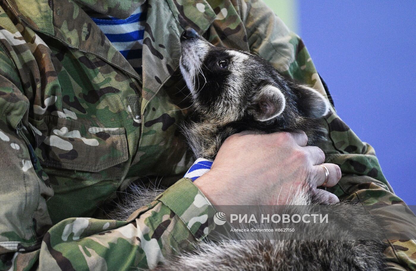 Выставка "Россия". Встреча с легендарным десантным енотом по кличке Херсон