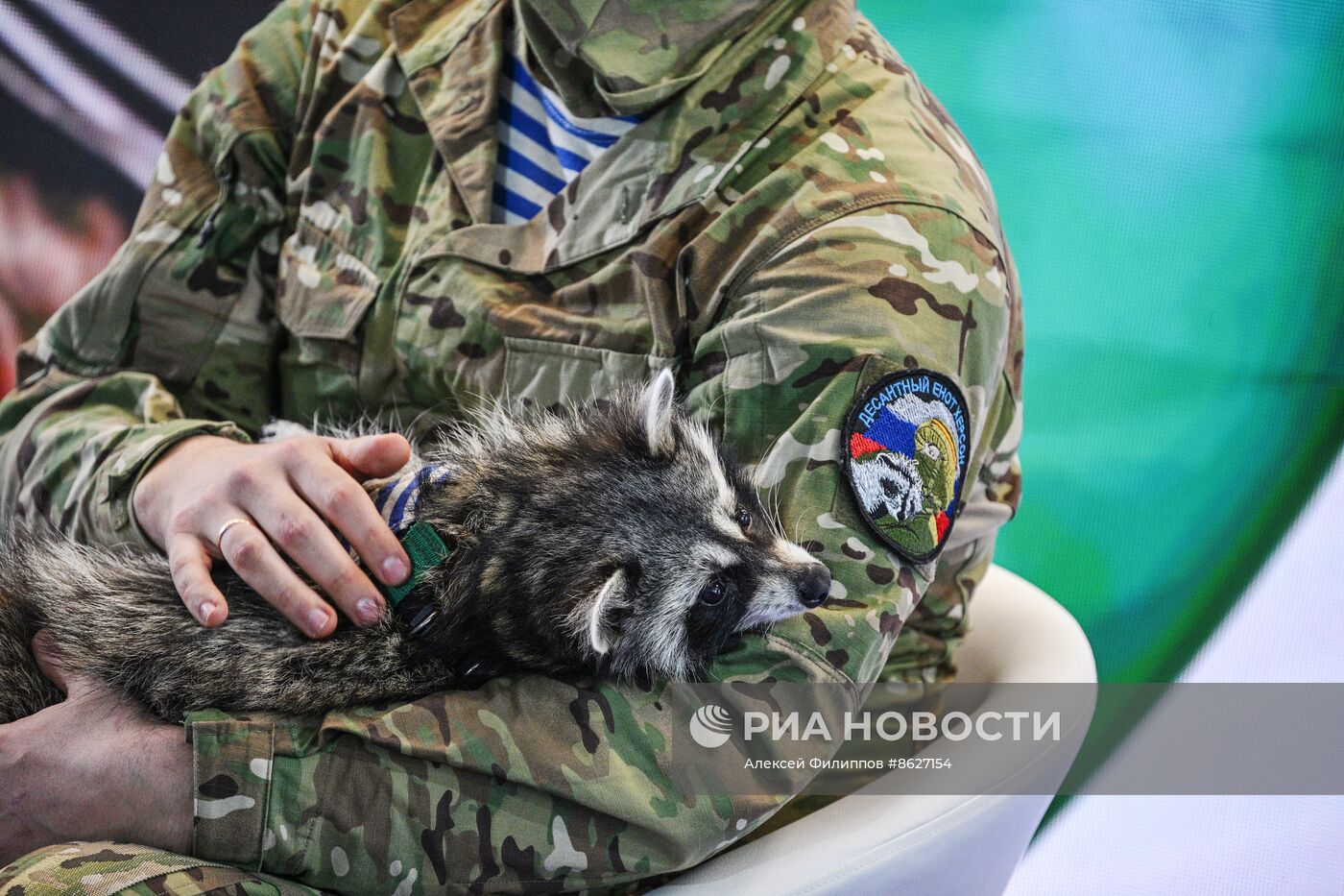 Выставка "Россия". Встреча с легендарным десантным енотом по кличке Херсон