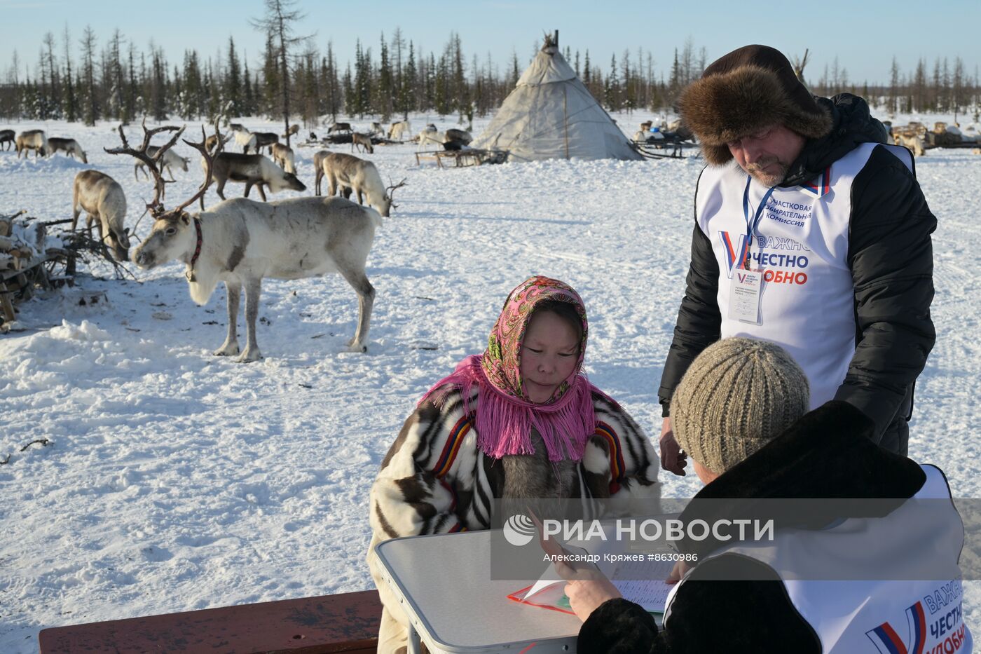 Досрочное голосование на стойбище оленеводов в ЯНАО