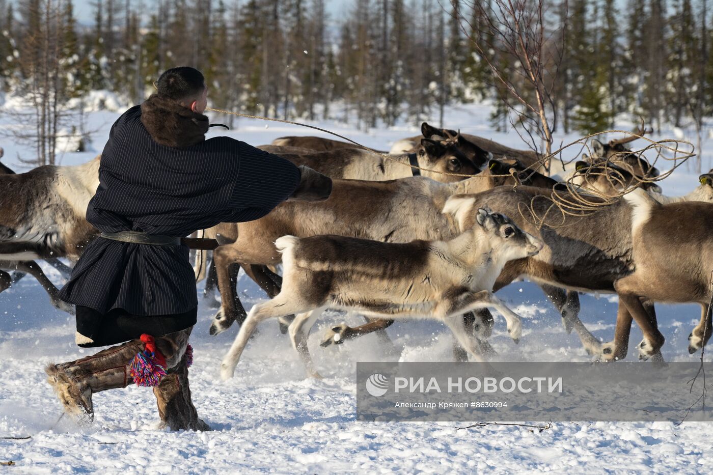 Досрочное голосование на стойбище оленеводов в ЯНАО