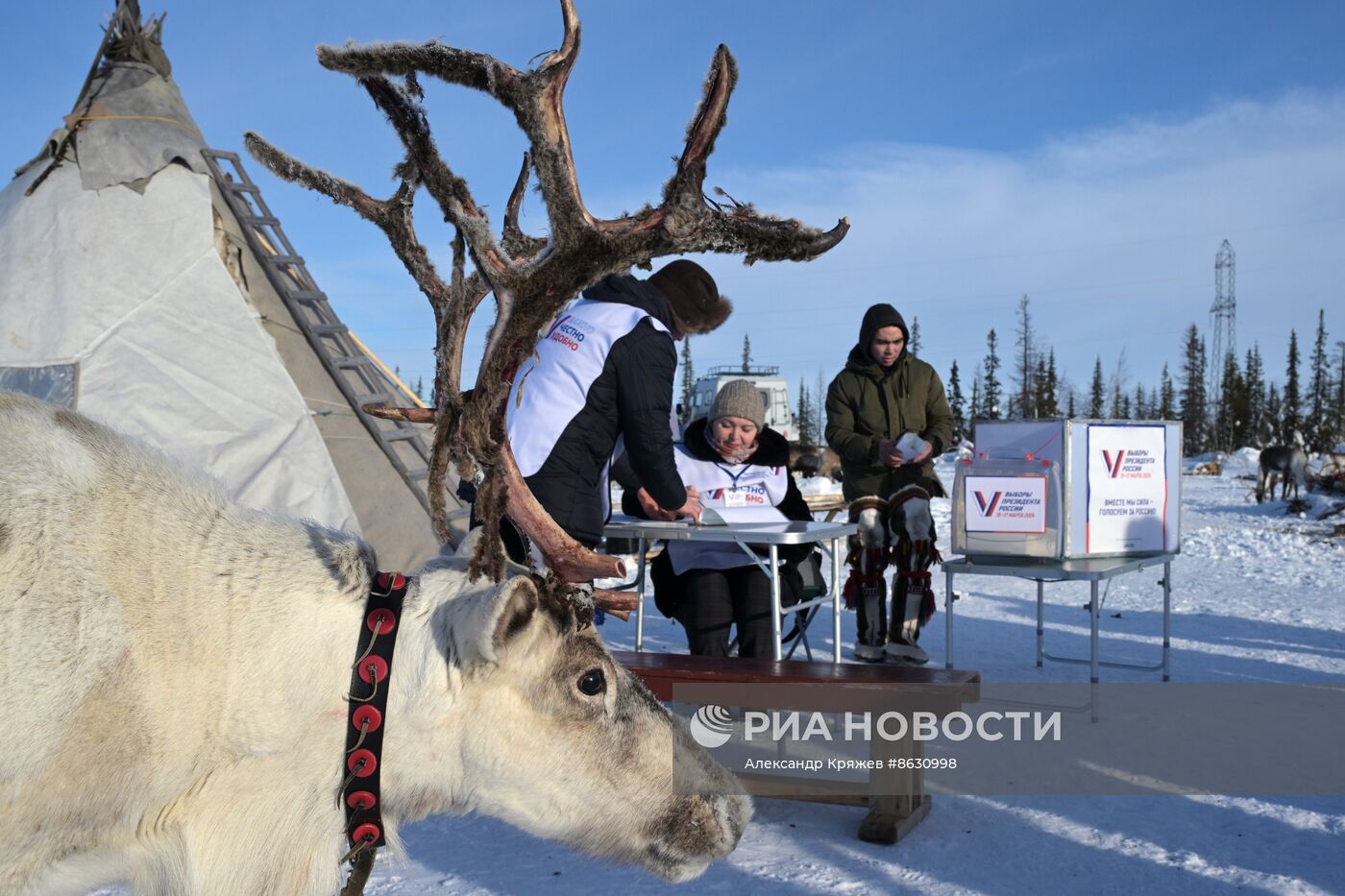 Досрочное голосование на стойбище оленеводов в ЯНАО