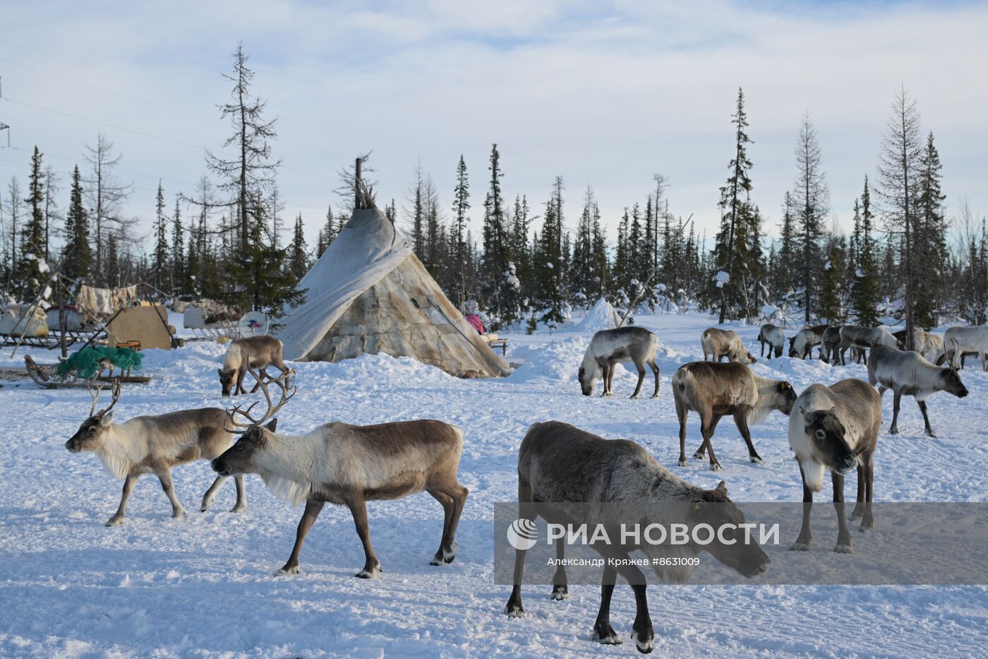 Досрочное голосование на стойбище оленеводов в ЯНАО