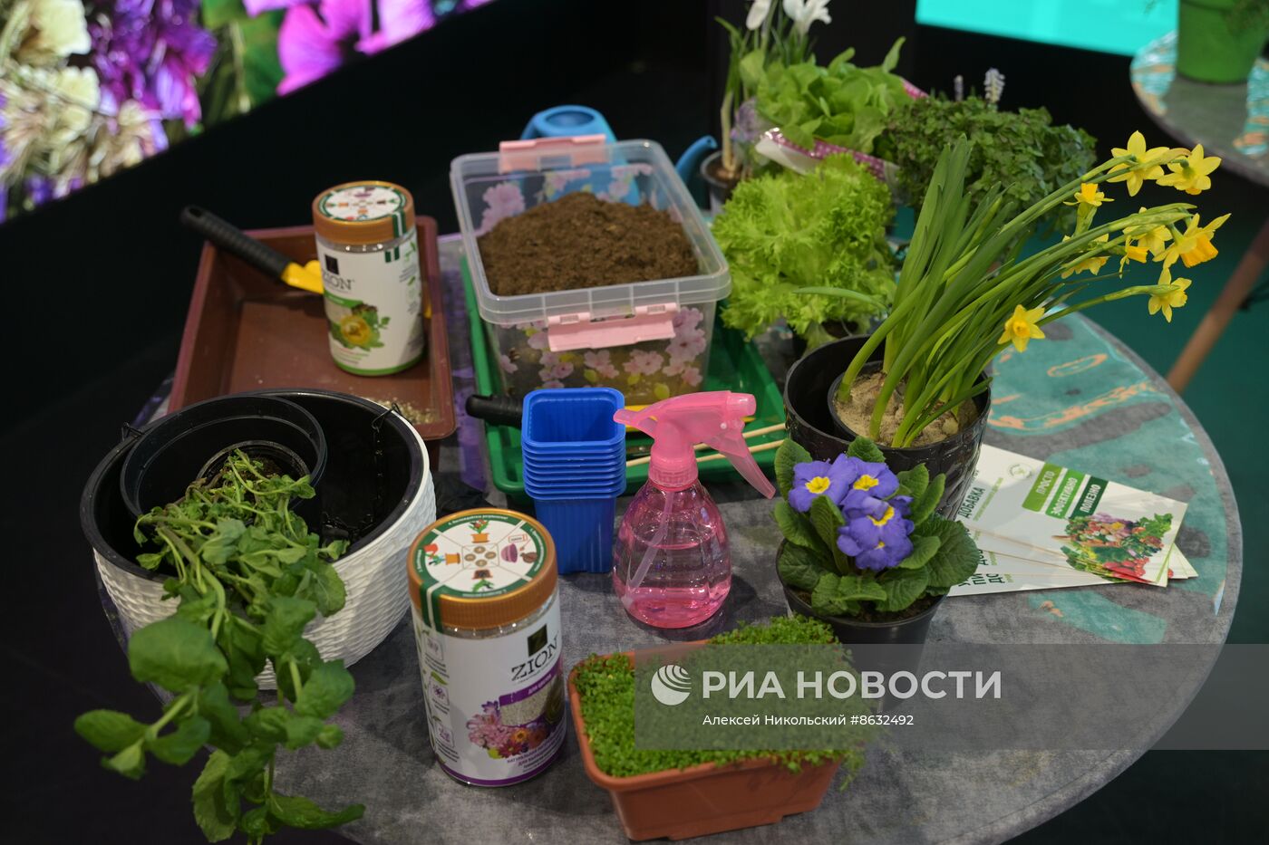 Выставка "Россия". Серия мастер-классов от садовых экспертов