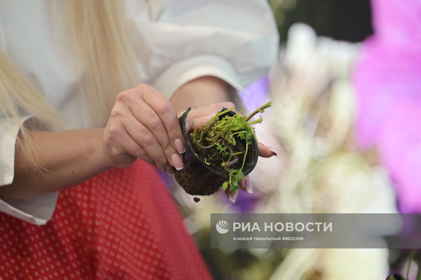 Выставка "Россия". Серия мастер-классов от садовых экспертов