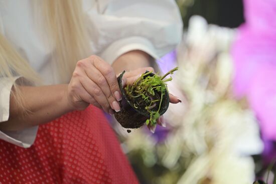 Выставка "Россия". Серия мастер-классов от садовых экспертов