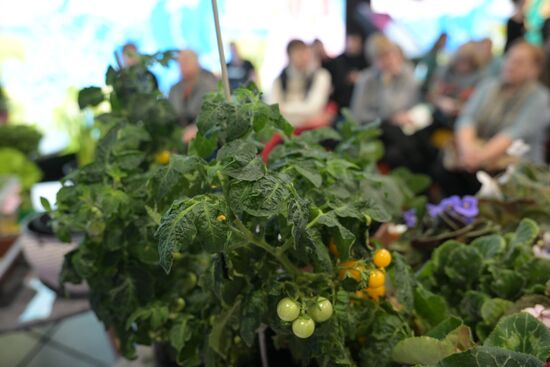 Выставка "Россия". Серия мастер-классов от садовых экспертов