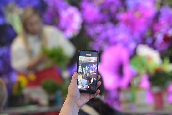 Выставка "Россия". Серия мастер-классов от садовых экспертов