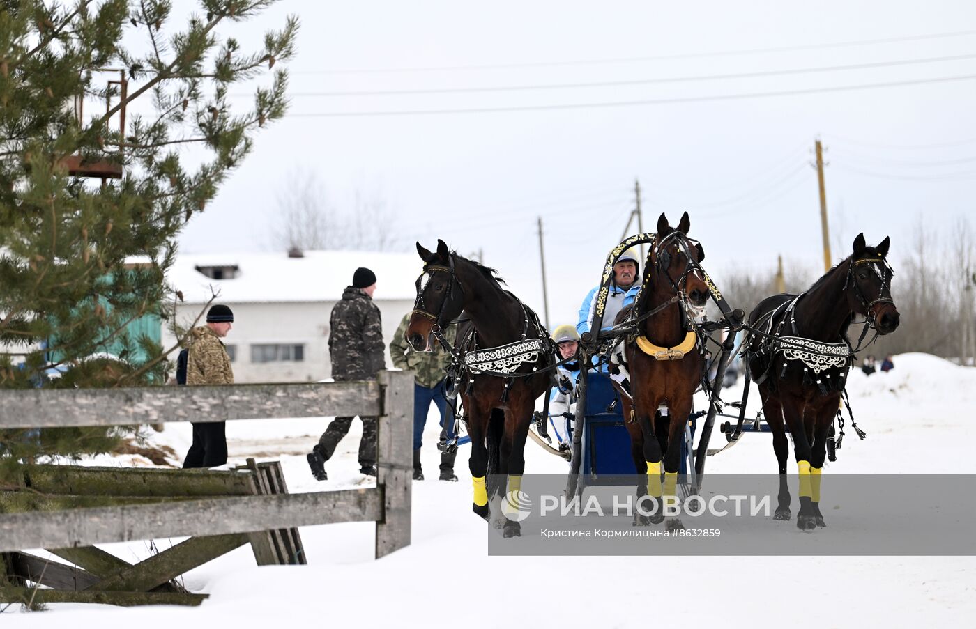 Праздник "Русской тройки" в Вологодской области