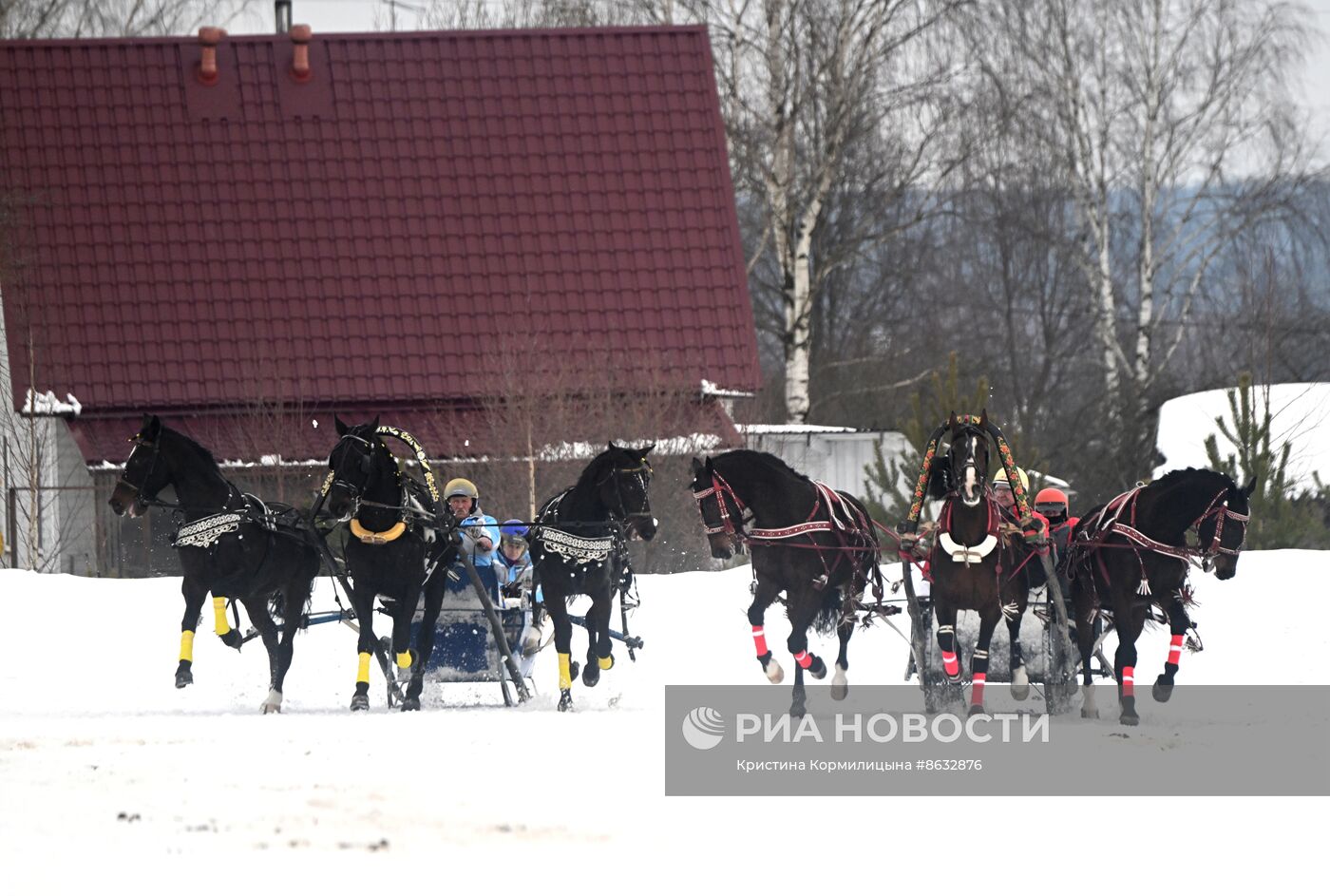 Праздник "Русской тройки" в Вологодской области