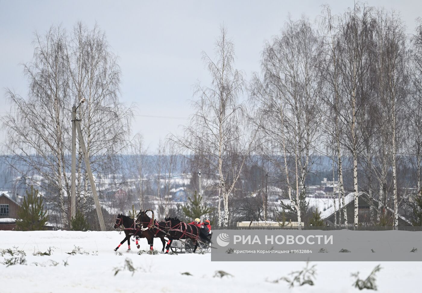 Праздник "Русской тройки" в Вологодской области