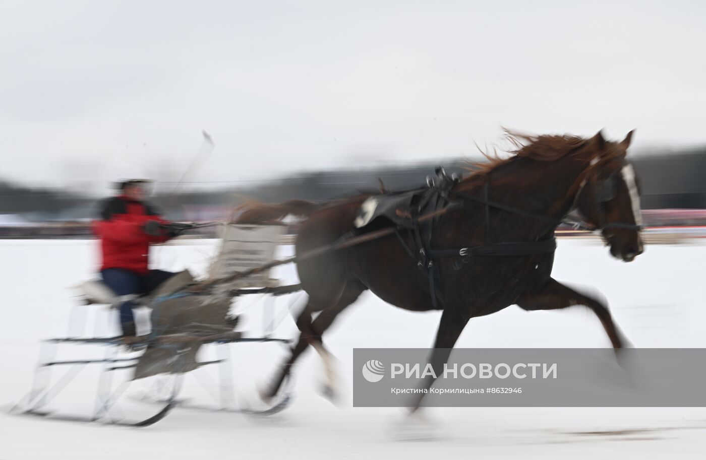 Праздник "Русской тройки" в Вологодской области