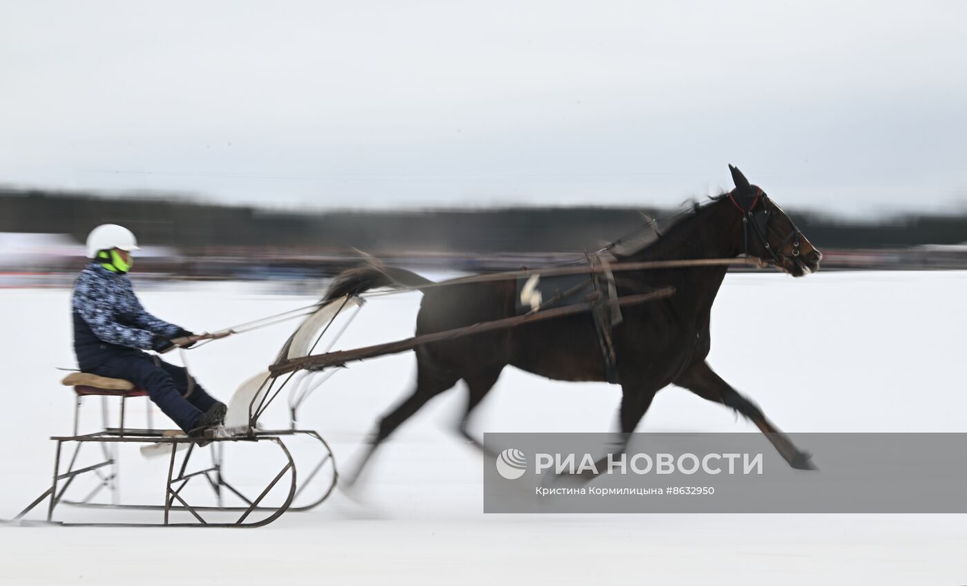 Праздник "Русской тройки" в Вологодской области