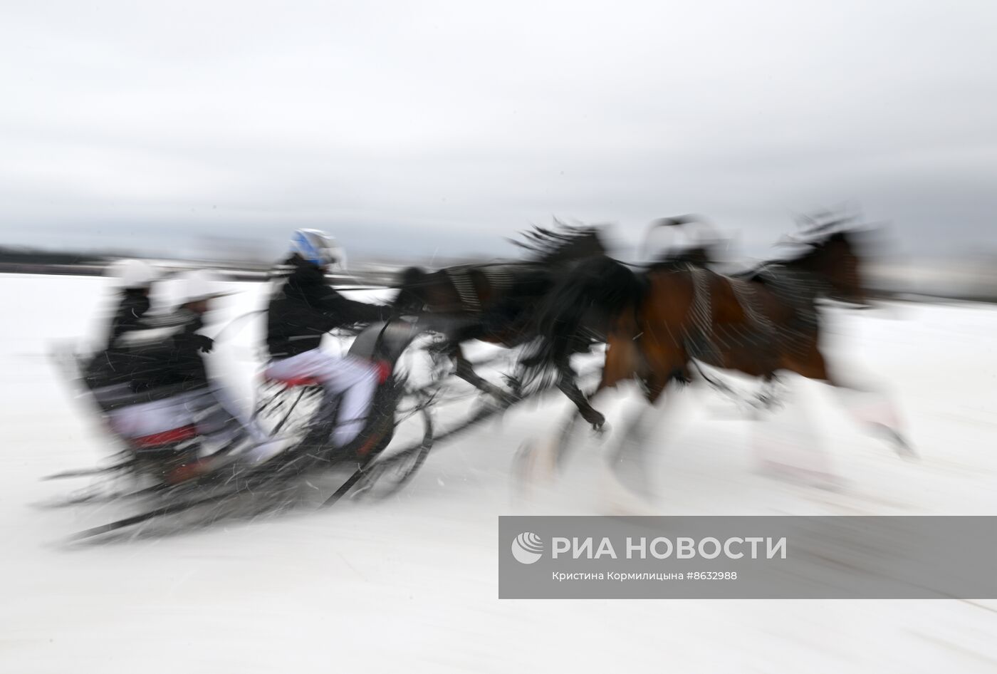 Праздник "Русской тройки" в Вологодской области