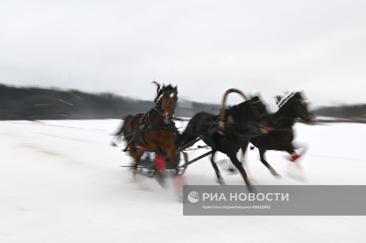 Праздник "Русской тройки" в Вологодской области