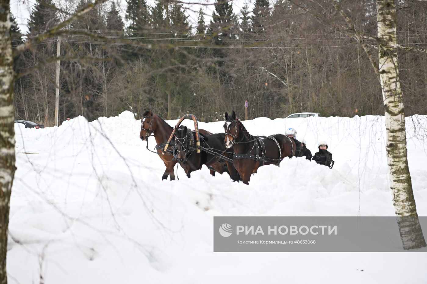 Праздник "Русской тройки" в Вологодской области