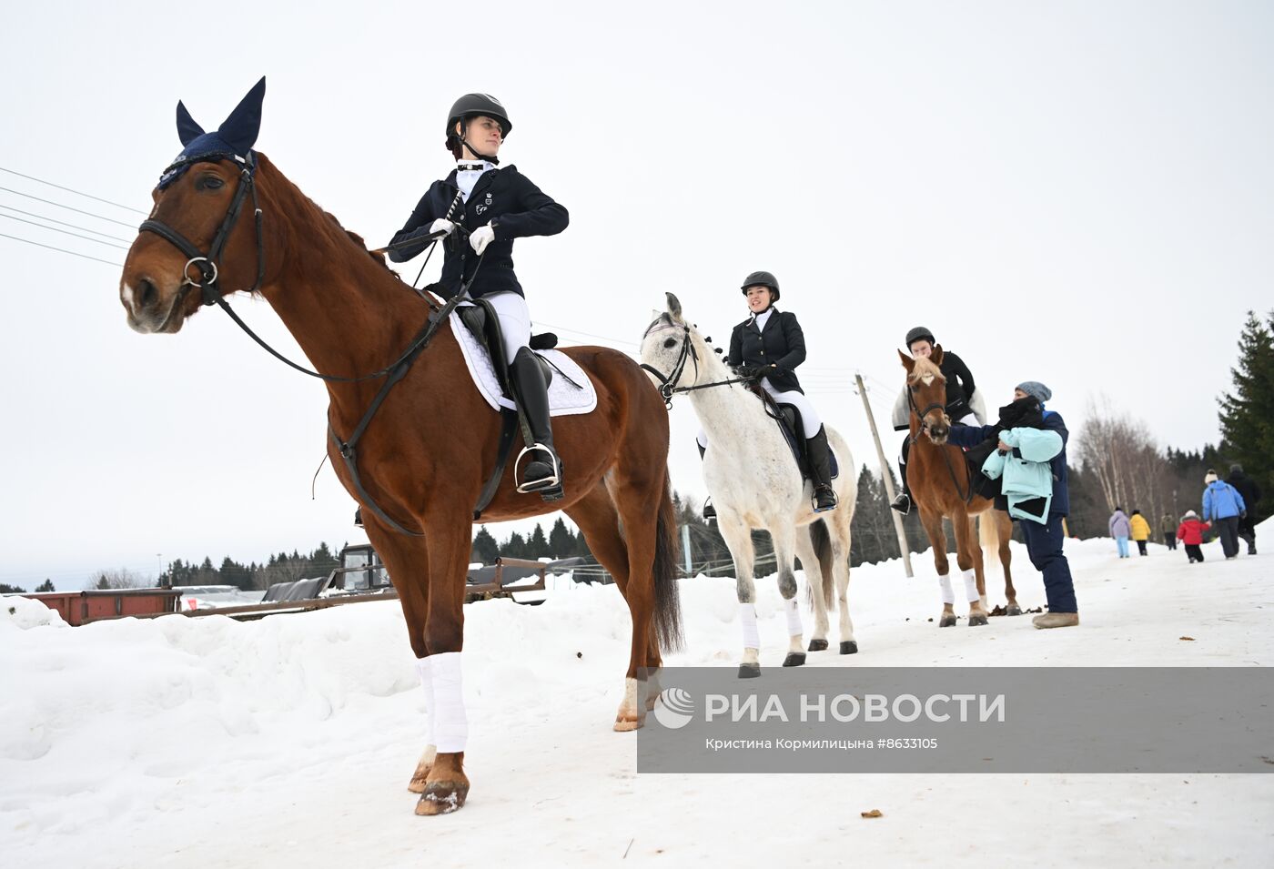 Праздник "Русской тройки" в Вологодской области