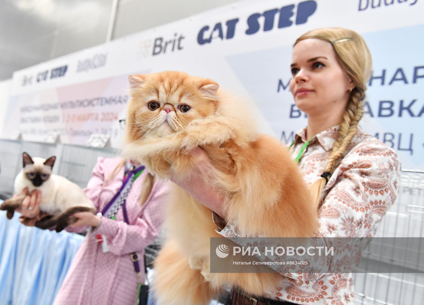 Международная выставка кошек SPRING CAT SHOW в "Крокус Сити Холле"