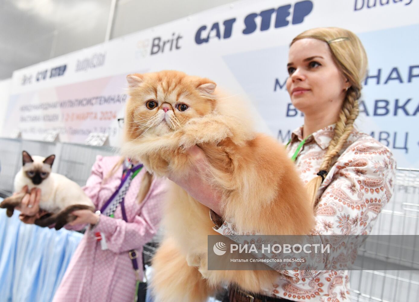 Международная выставка кошек SPRING CAT SHOW в "Крокус Сити Холле"