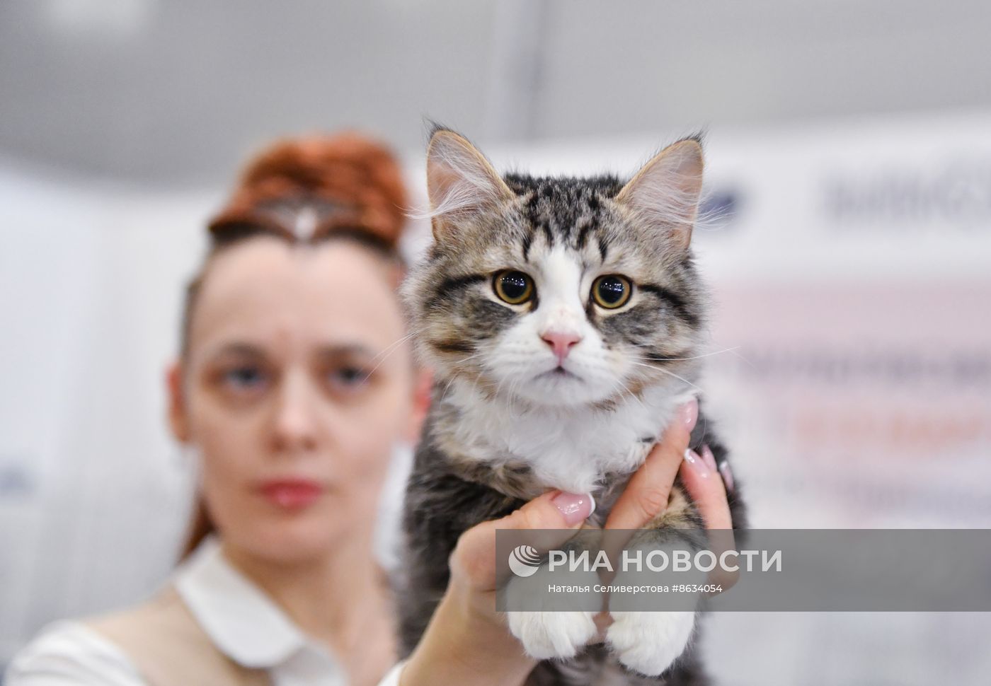 Международная выставка кошек SPRING CAT SHOW в "Крокус Сити Холле"
