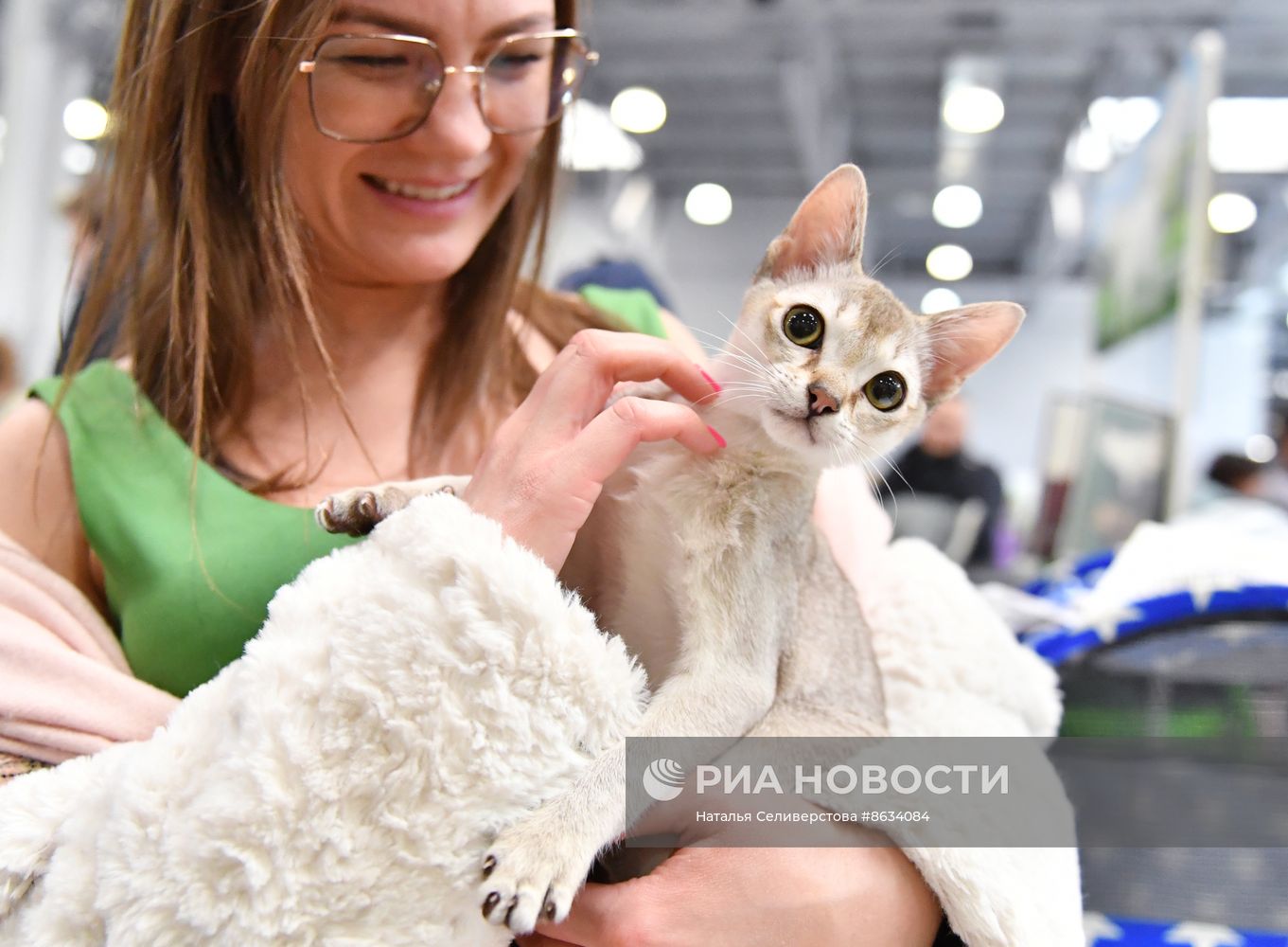 Международная выставка кошек SPRING CAT SHOW в "Крокус Сити Холле"