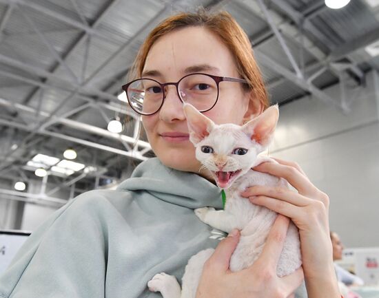 Международная выставка кошек SPRING CAT SHOW в "Крокус Сити Холле"