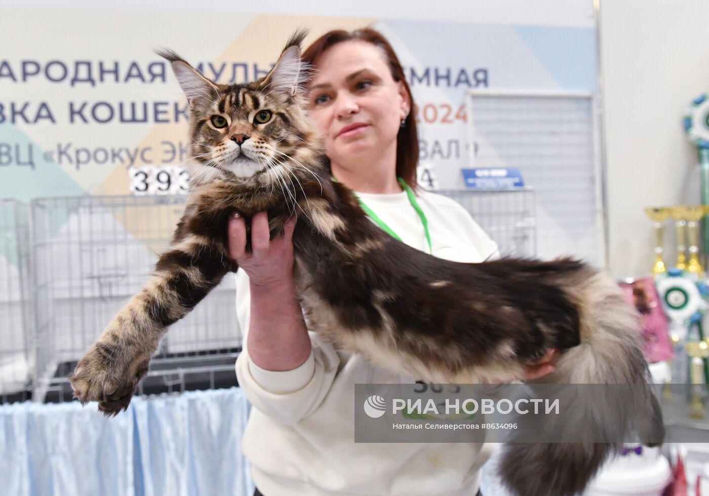 Международная выставка кошек SPRING CAT SHOW в "Крокус Сити Холле"