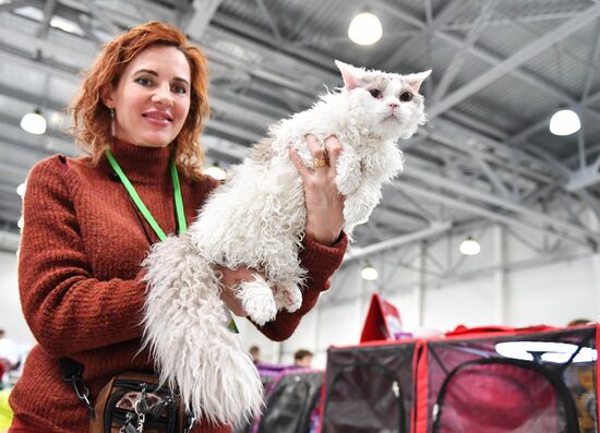 Международная выставка кошек SPRING CAT SHOW в "Крокус Сити Холле"