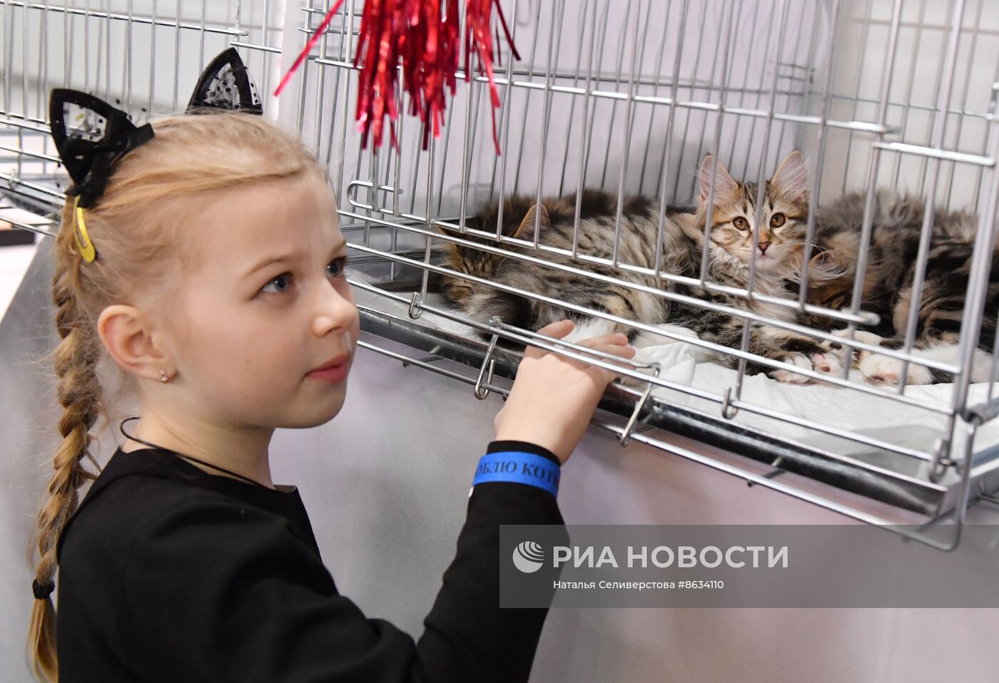 Международная выставка кошек SPRING CAT SHOW в "Крокус Сити Холле"