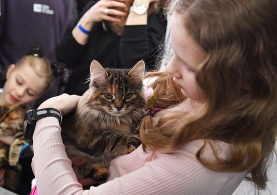 Международная выставка кошек SPRING CAT SHOW в "Крокус Сити Холле"