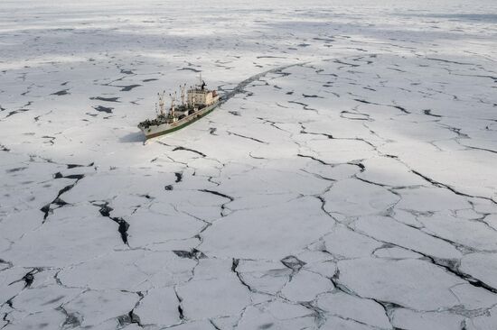 Досрочное голосование на судне "Капитан Мокеев" в Охотском море