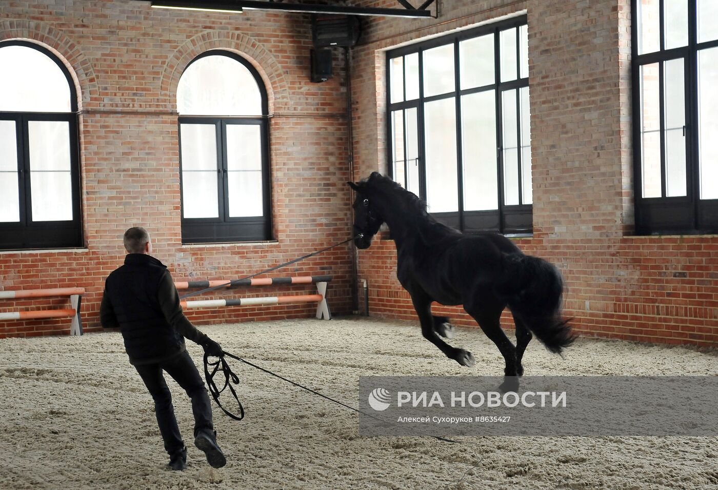 Работа конной усадьбы "Путь" в Тамбовской области
