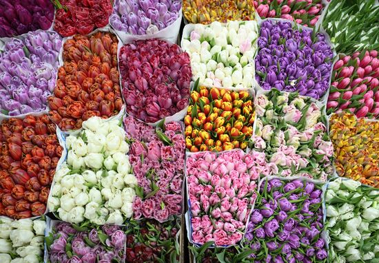 Продажа цветов к 8 марта